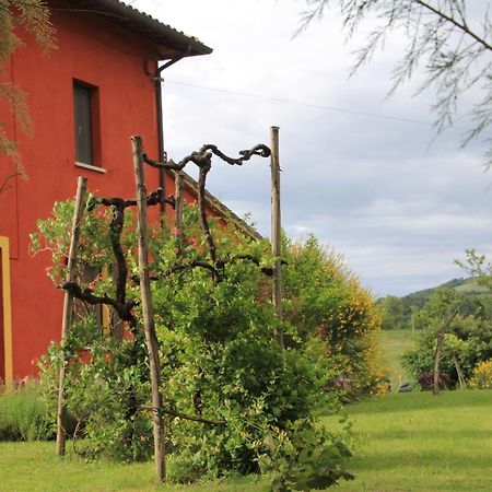 أوربانيا B&B Fox'S Hill المظهر الخارجي الصورة